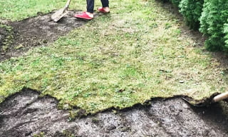 Снятие дерна старого газона в грозном – от 525 руб. | 2Землекопа-Грз